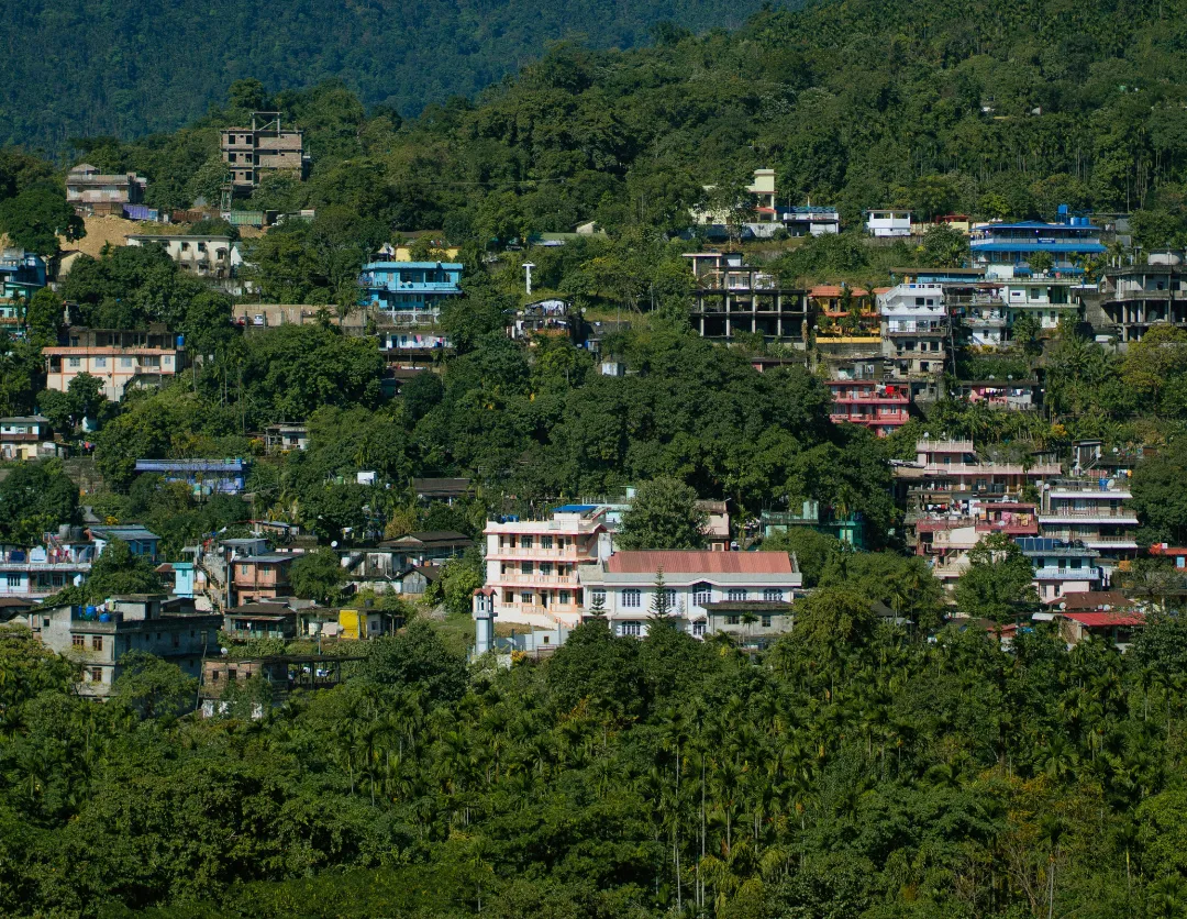Darjeeling_tour